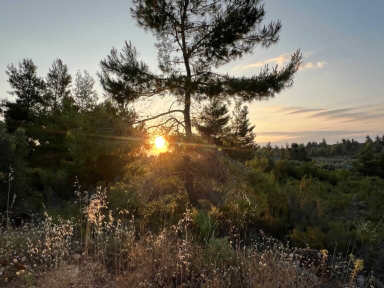 Foto 15.06.25, 06 37 10