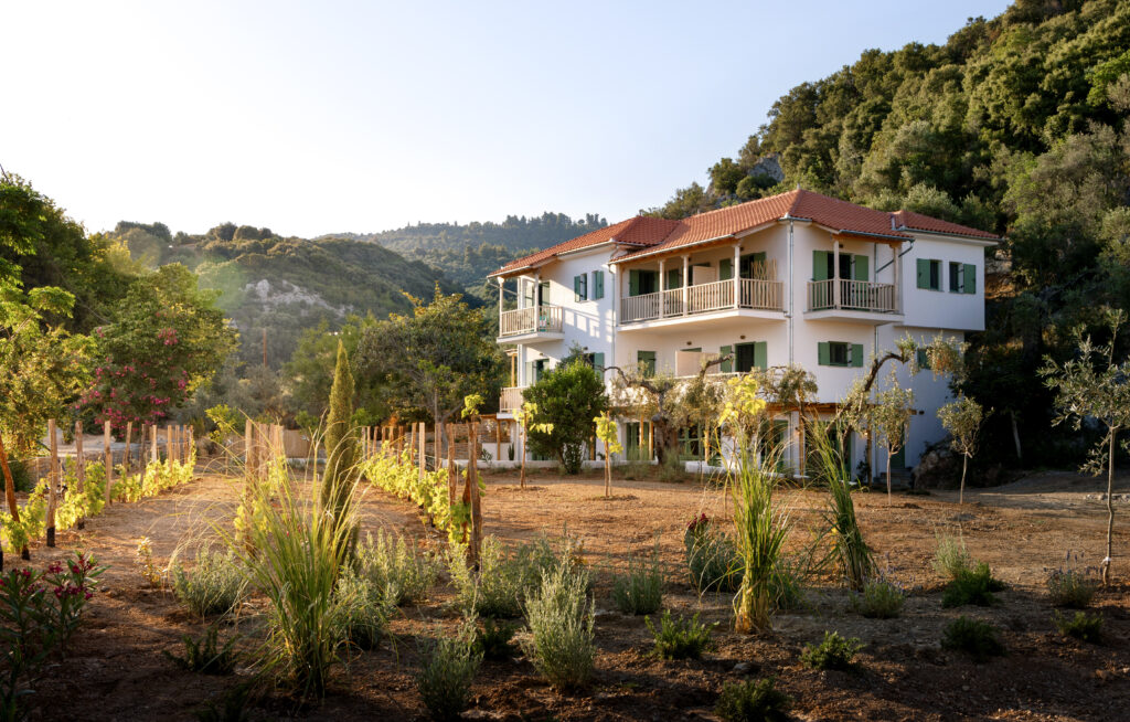Peli Kastri Guesthouse. Hotel, Rooms, embedded into old olivetrees, directly on the beach