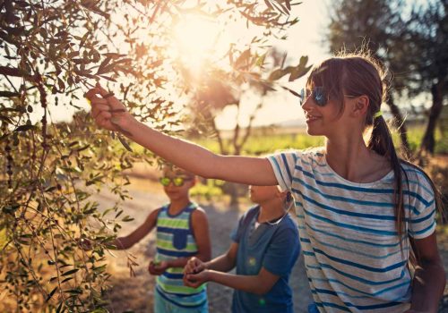 Kids Olivetree
