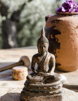 PeliKastri_E&P_catehoffmann_129